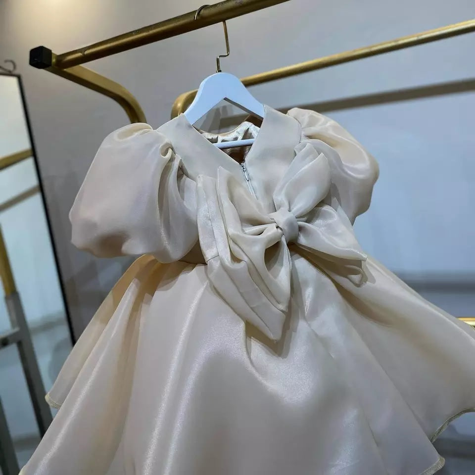 Girl Dress Kids Ruffles Party Wedding Dresses