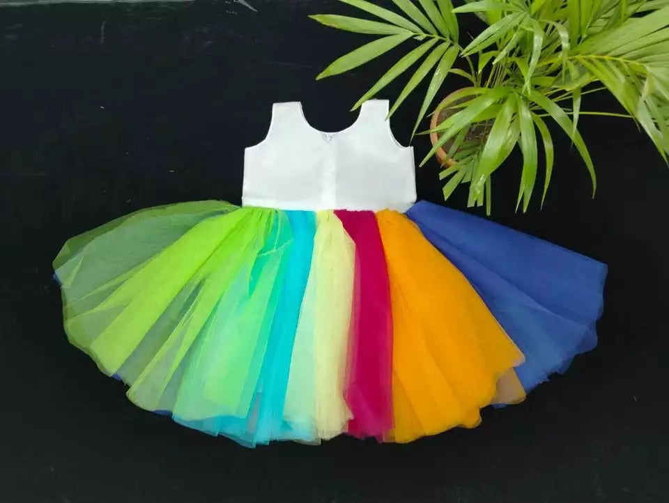 Heavy Net Multi Color Dress