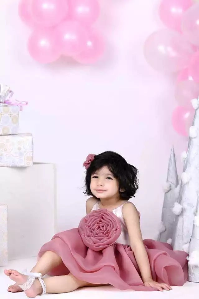 Princess Organza Frock