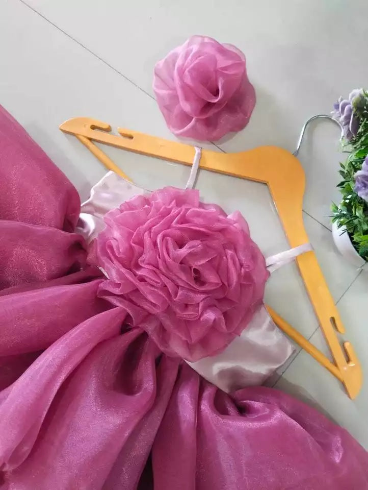 Princess Organza Frock