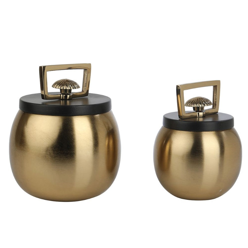 Darius Box | Set of 2 | Multiple Colors