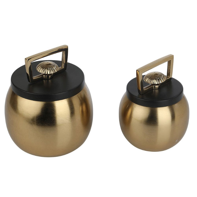 Darius Box | Set of 2 | Multiple Colors