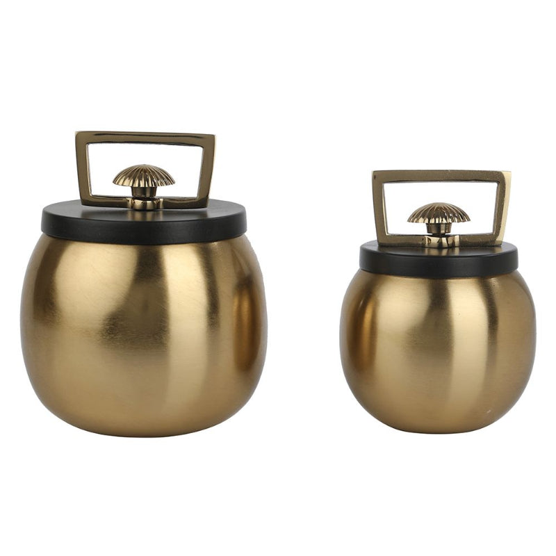 Darius Box | Set of 2 | Multiple Colors