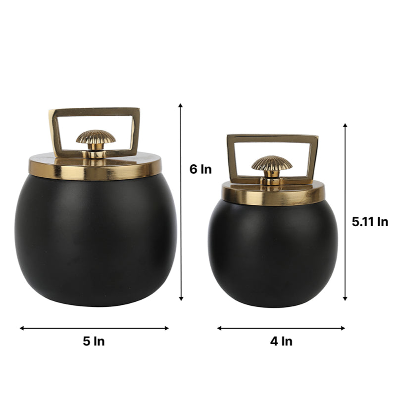 Darius Box | Set of 2 | Multiple Colors