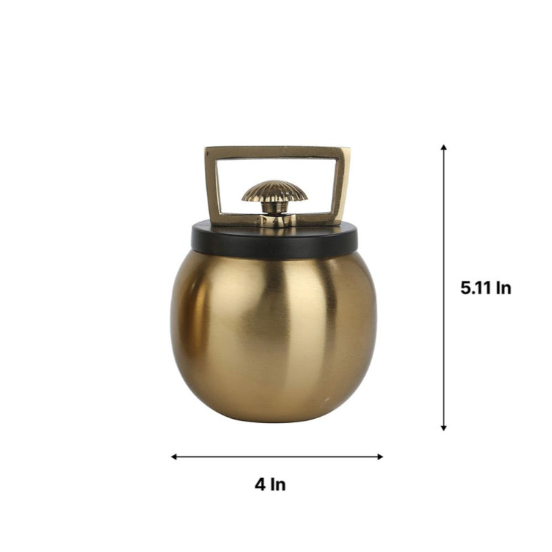 Elegant Darius Small Storage Box | Multiple Colors