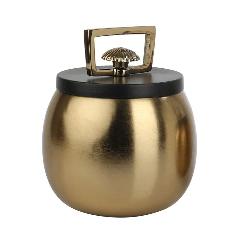 Darius Large Storage Box | Multiple Colors