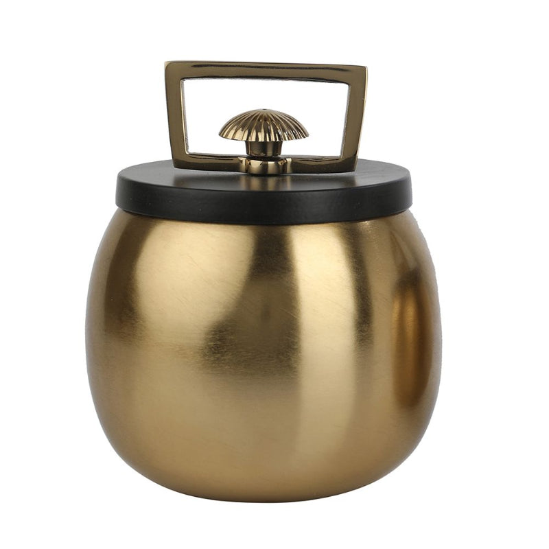 Darius Large Storage Box | Multiple Colors