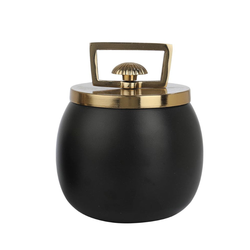 Darius Large Storage Box | Multiple Colors