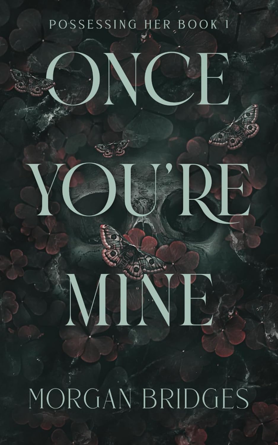 Once You Are Mine (Possessing Her Duet, Book 1) – Romantic Suspense Paperback