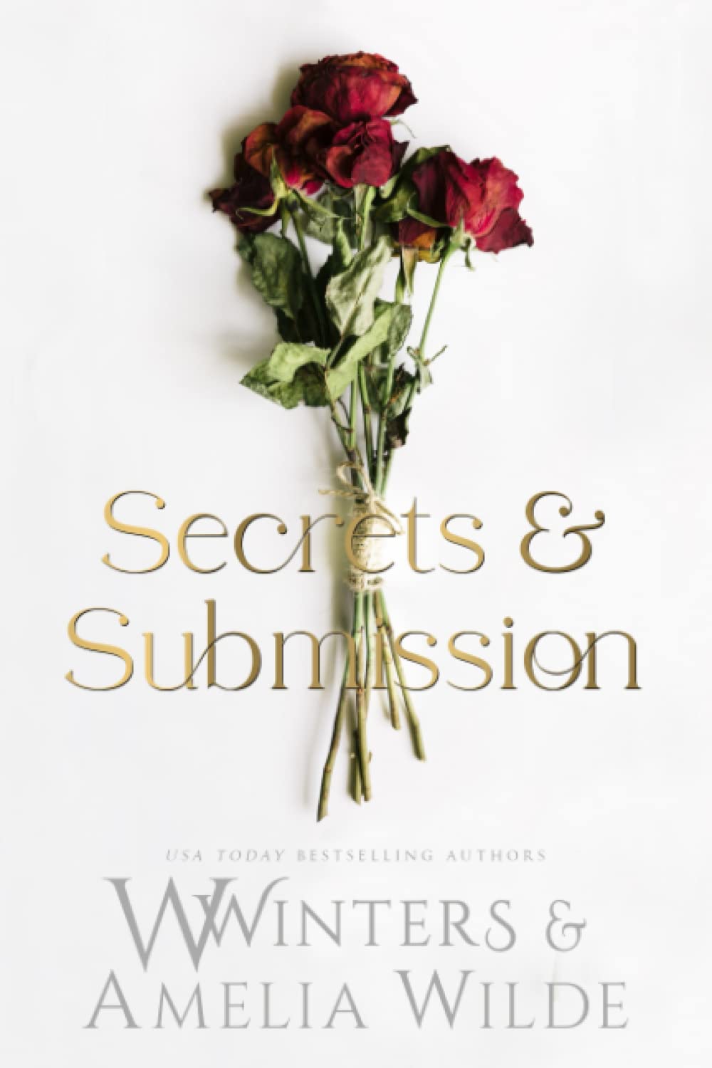 Secrets & Desires – A Riveting Romantic Suspense (Paperback)