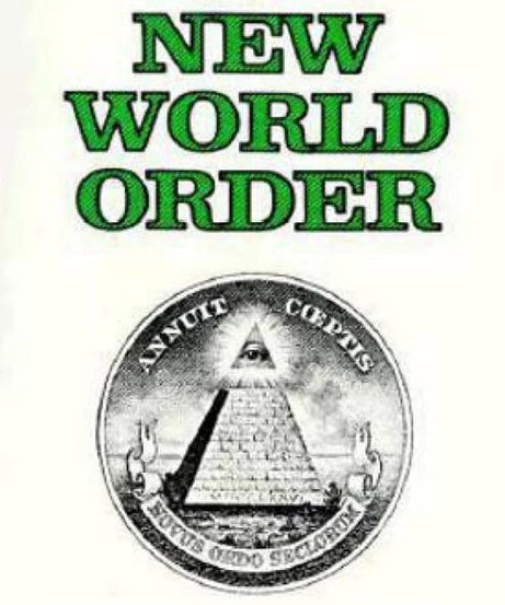 New World Order Book Political Theory, Global Politics & Geopolitics Analysis International Relations & World Affairs