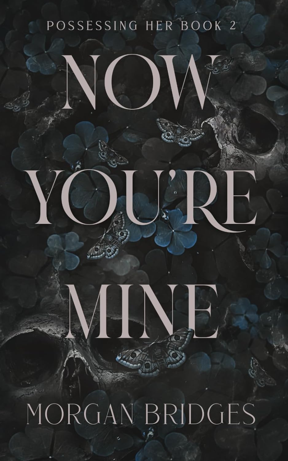 Now You Are Mine (Possessing Her Duet, Book 2) – Paperback unavailable
