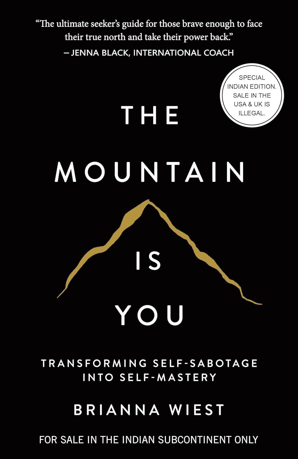101 Essays + This is How You Heal + Mountain + The Pivot Year (COMBO BOOKS SET)