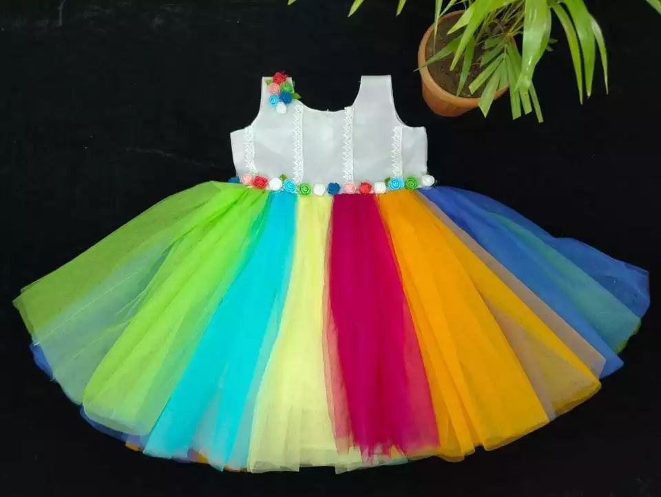 Heavy Net Multi Color Dress