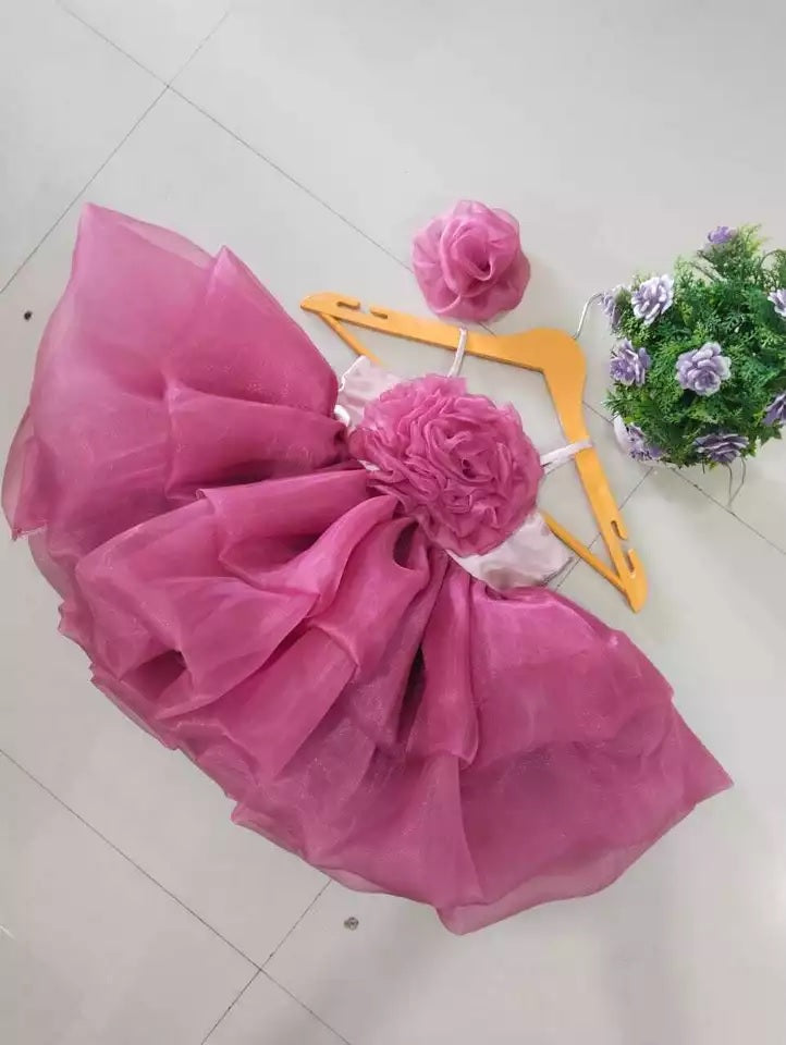 Princess Organza Frock