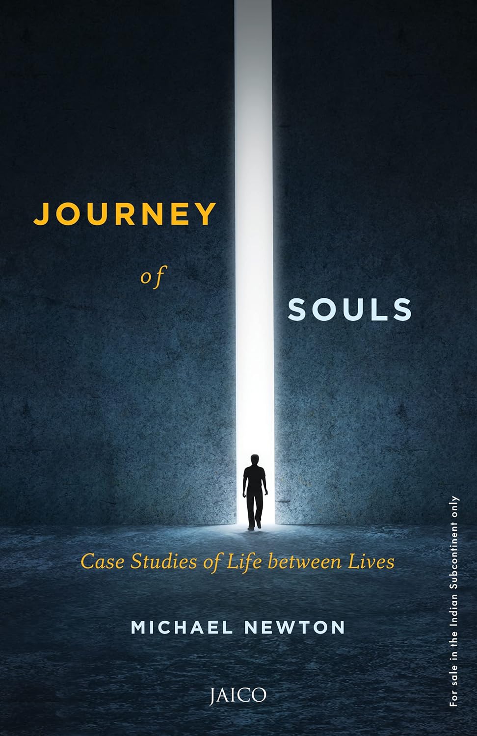 Journey of Souls -Paperback