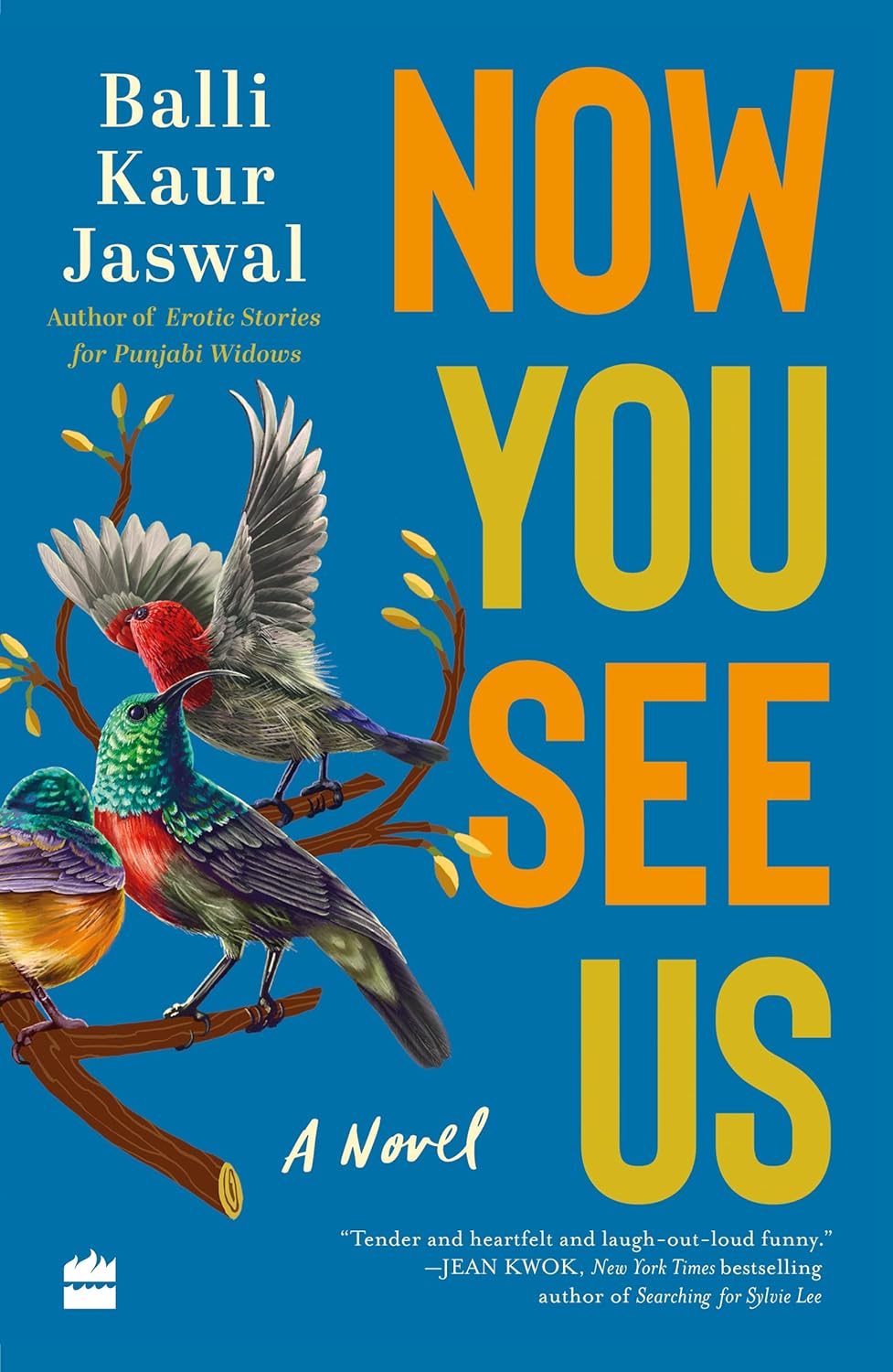 Now You See Us (Paparback)