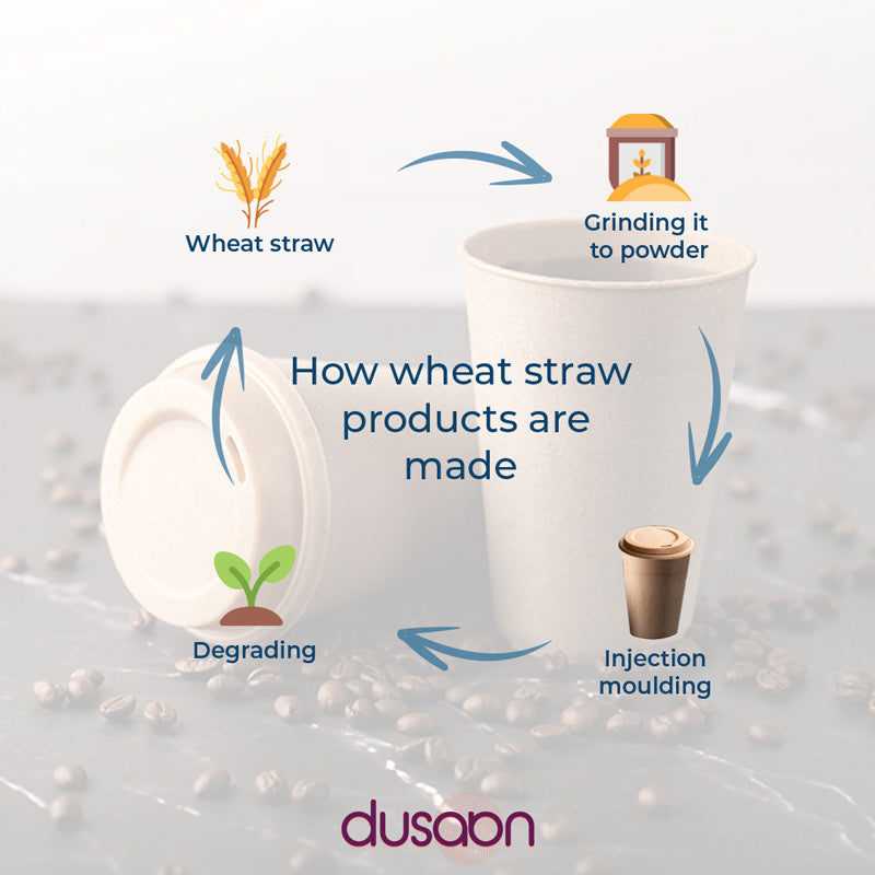 Plush Pink Wheat Straw Water Bottle | 300 ml