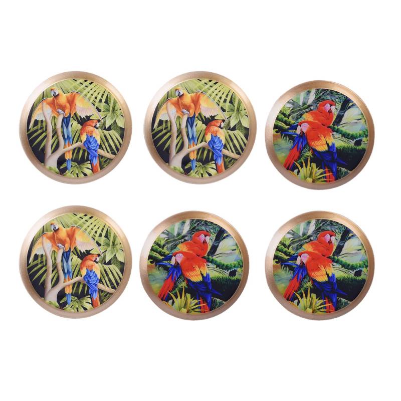 Bird Print Color Coasters | Set Of 6