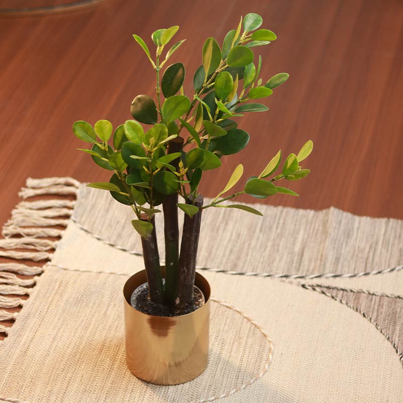 The Chinese Empire | Artificial Banyan Bonsai With Grey Pot