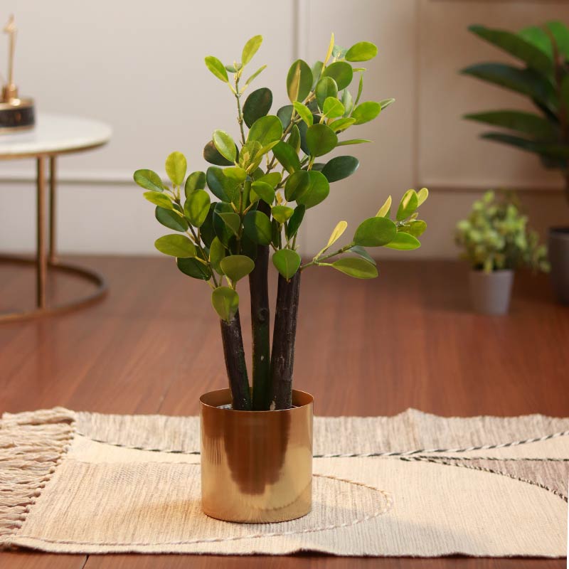 The Chinese Empire | Artificial Banyan Bonsai With Grey Pot