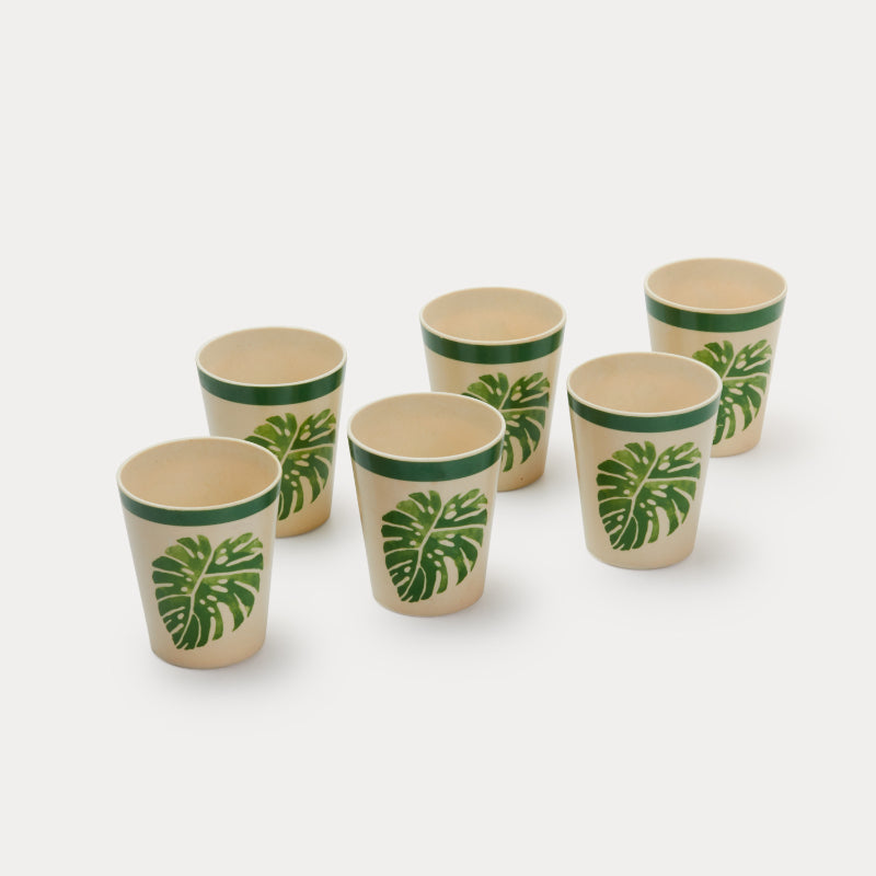 Bamboo Fibre Glasses | 380ml  | Set of 6 | Multiple Designs