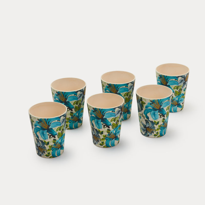 Bamboo Fibre Glasses | 380ml  | Set of 6 | Multiple Designs