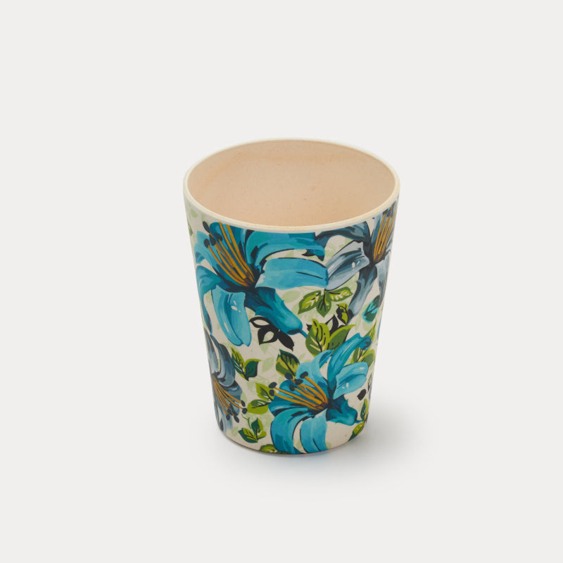 Bamboo Fibre Glasses | 380ml  | Set of 6 | Multiple Designs