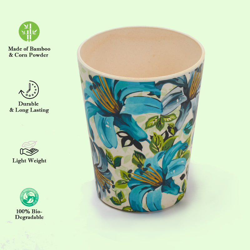 Bamboo Fibre Glasses | 380ml  | Set of 6 | Multiple Designs