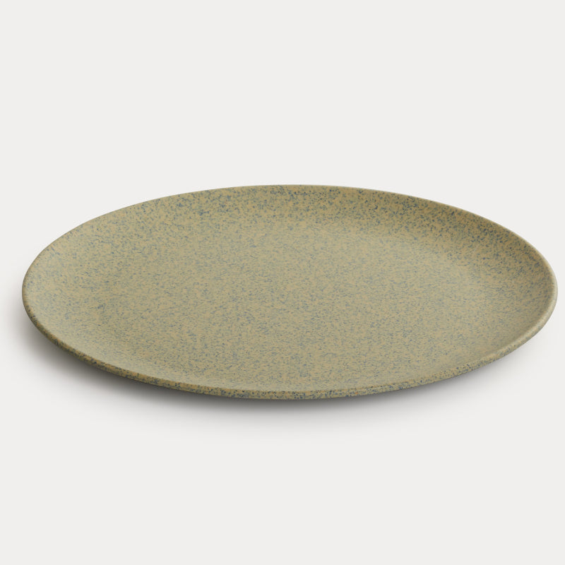 Bamboo Fibre Plate | 10 inches | Set of 6 | Multiple Designs