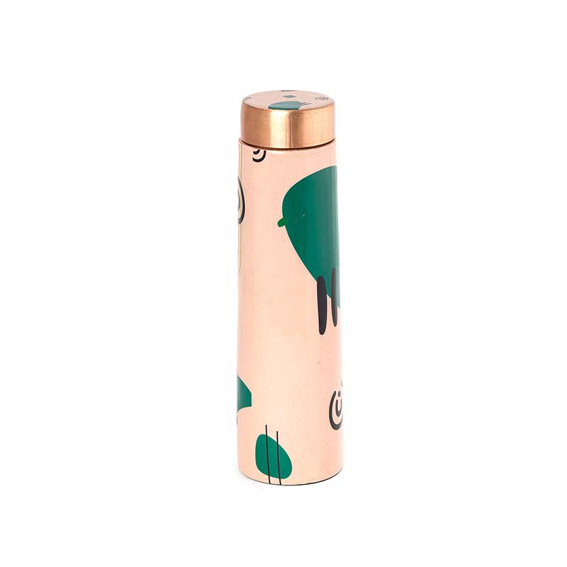 Trendy Copper Bottle Sporting Abstract Designs