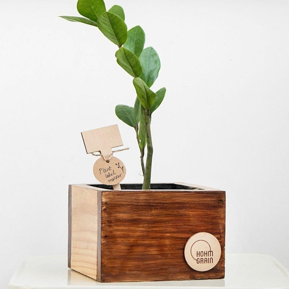 Cube Planters | Set of 3
