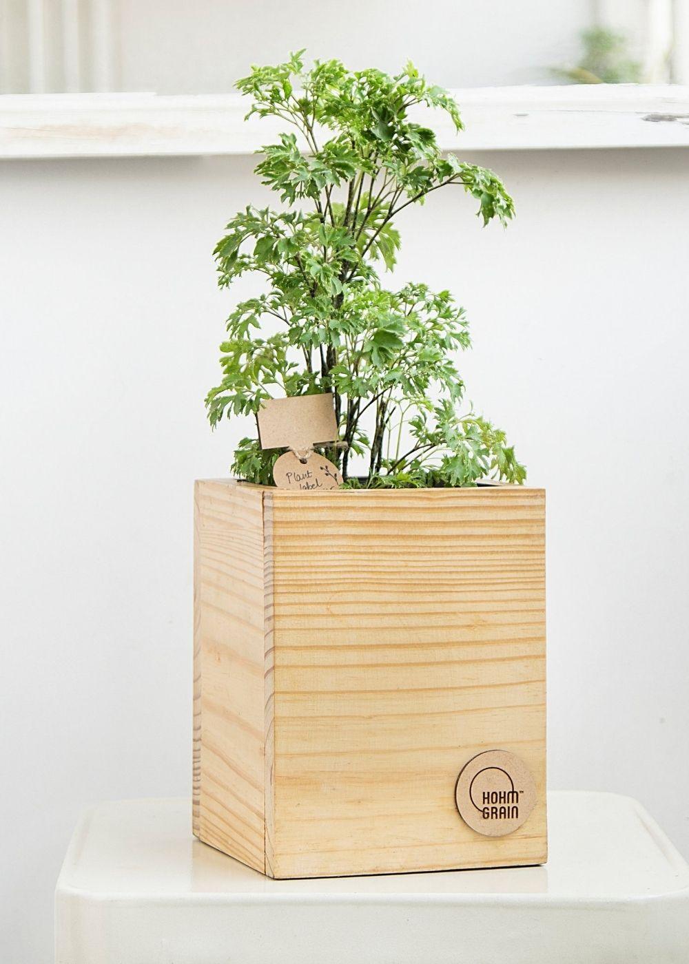 Cube Planters | Set of 3