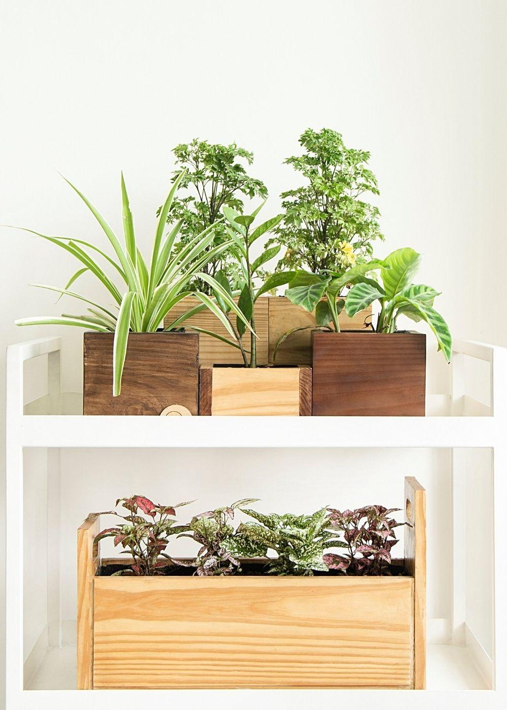 Cube Planters | Set of 3