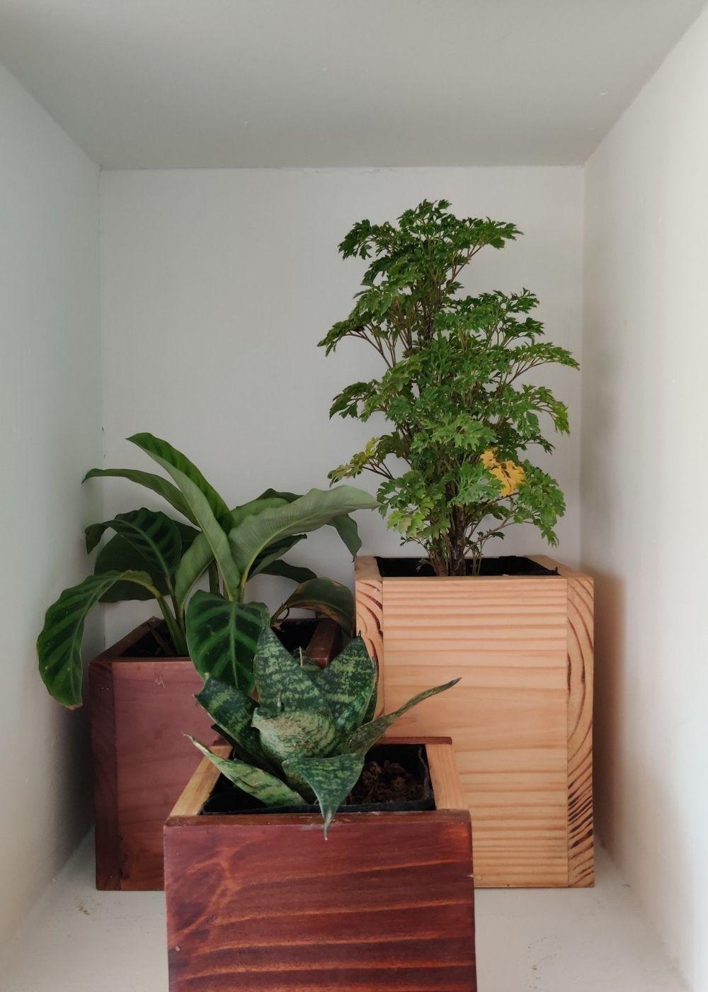 Cube Planters | Set of 3