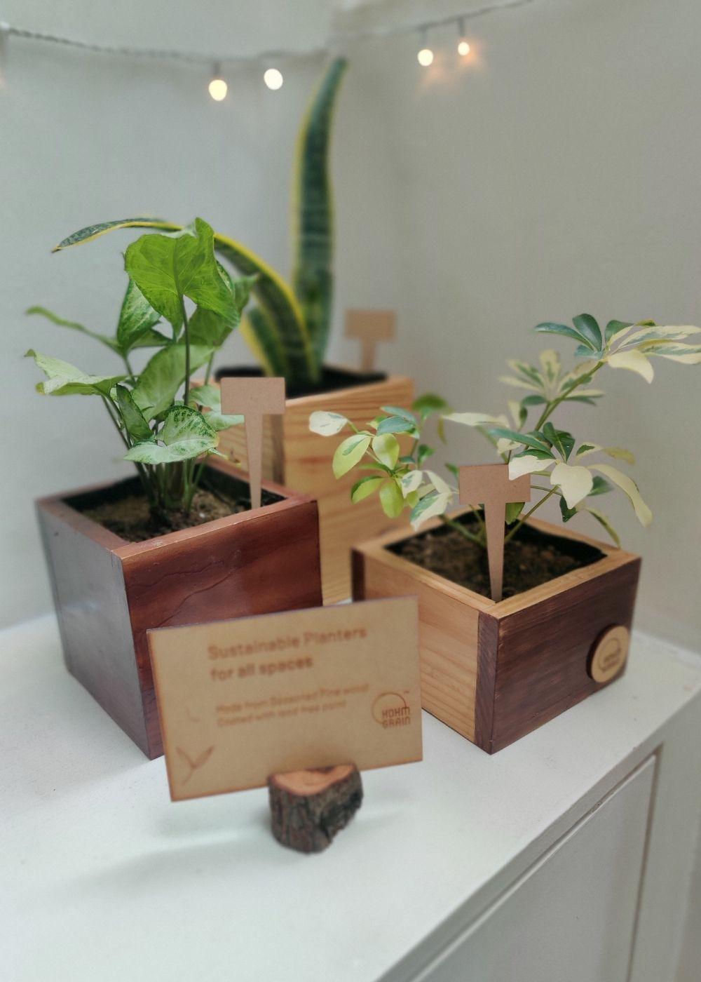 Cube Planters | Set of 3
