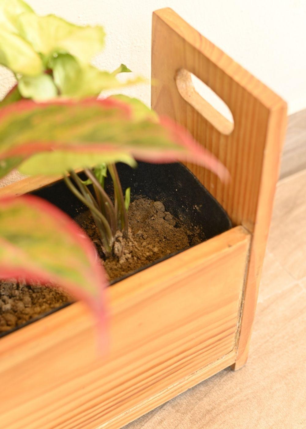 Planter Tray in Pine Wood | Natural Finish