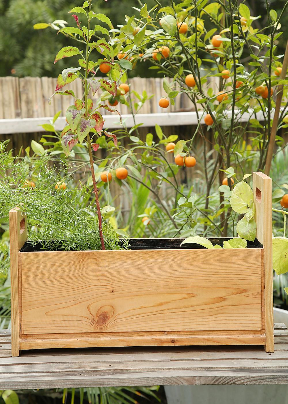 Planter Tray in Pine Wood | Natural Finish