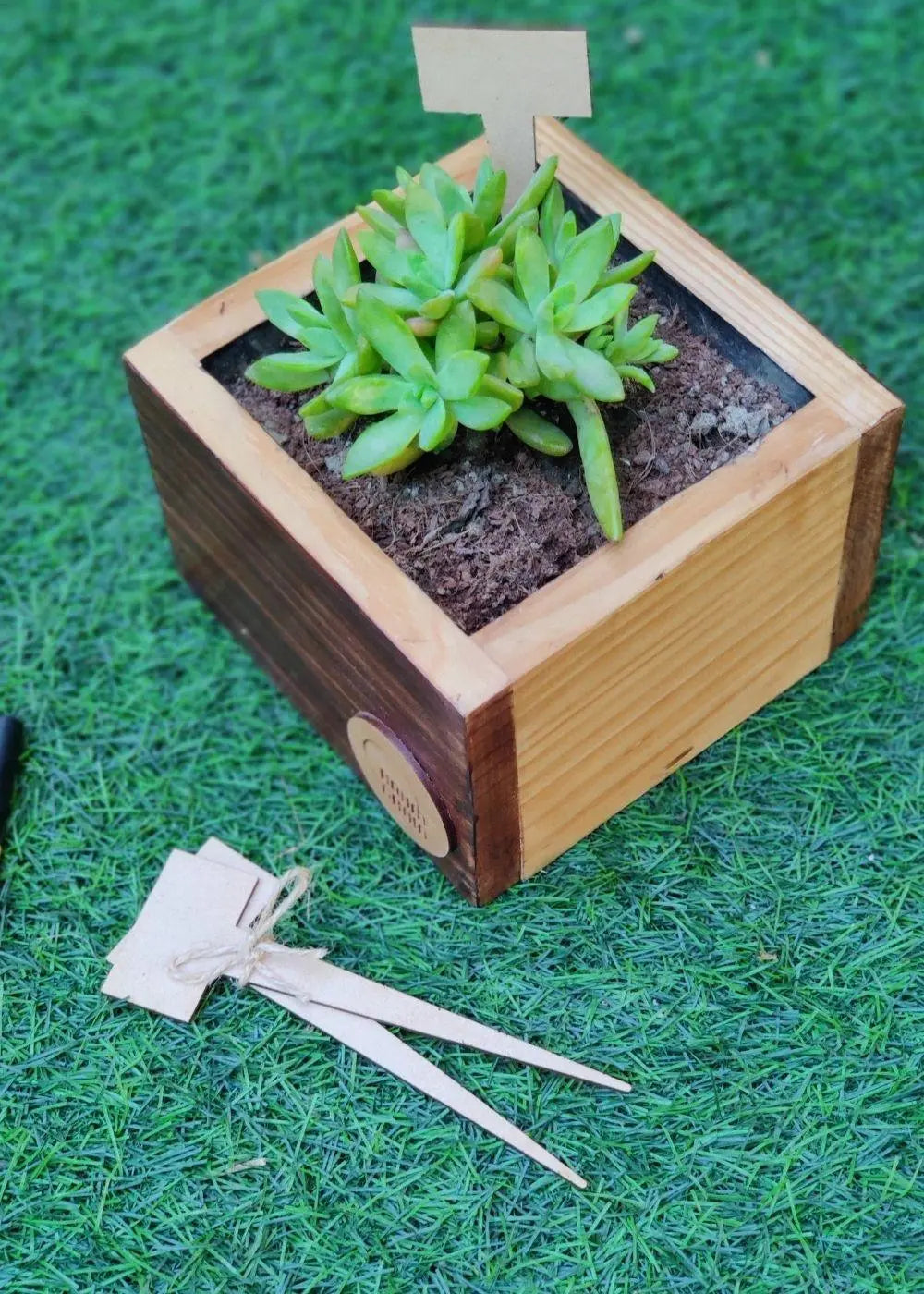 Cube Planter in Pine Wood | 6"