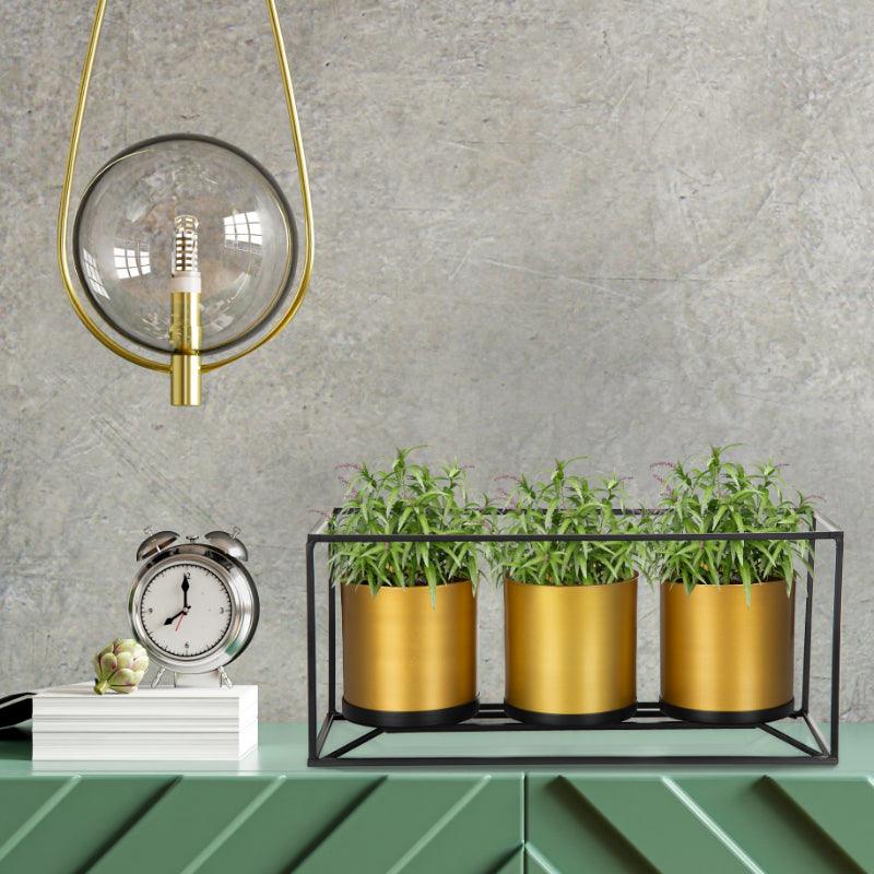 Golden 3 Piece Planter