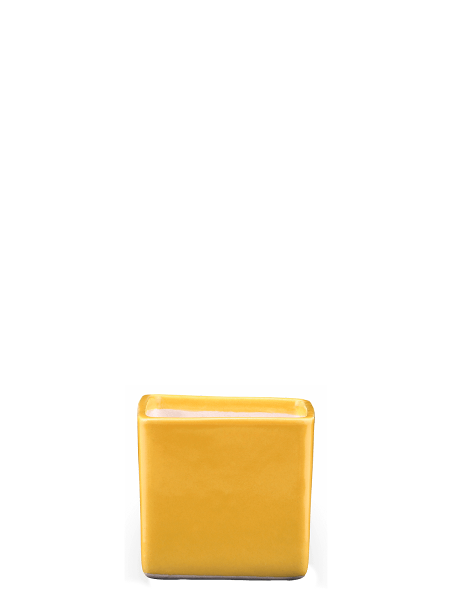 Square Ceramic Pot | Ugaoo | Multiple Colors