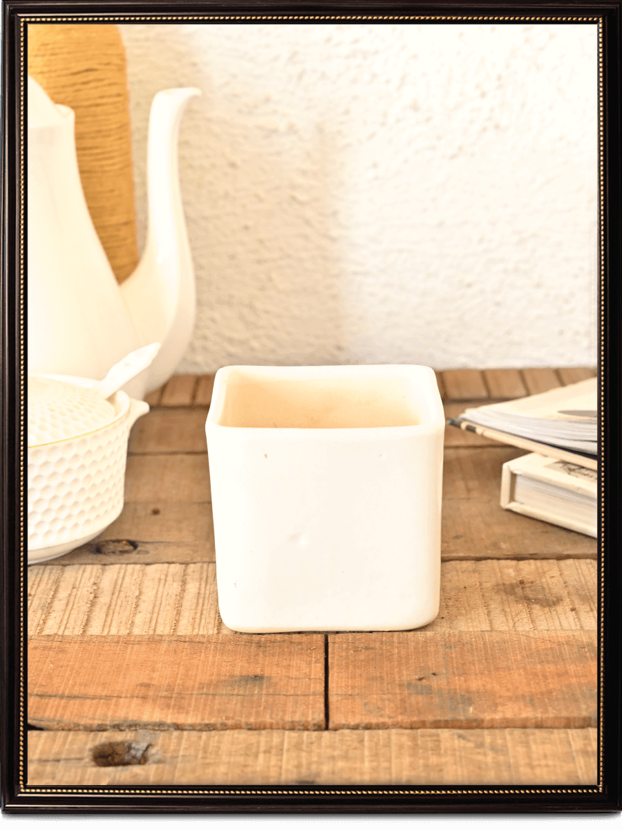 Square Ceramic Pot | Ugaoo | Multiple Colors