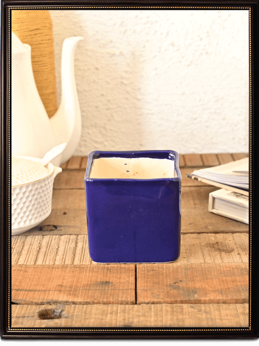 Square Ceramic Pot | Ugaoo | Multiple Colors