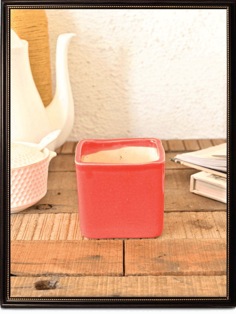 Square Ceramic Pot | Ugaoo | Multiple Colors