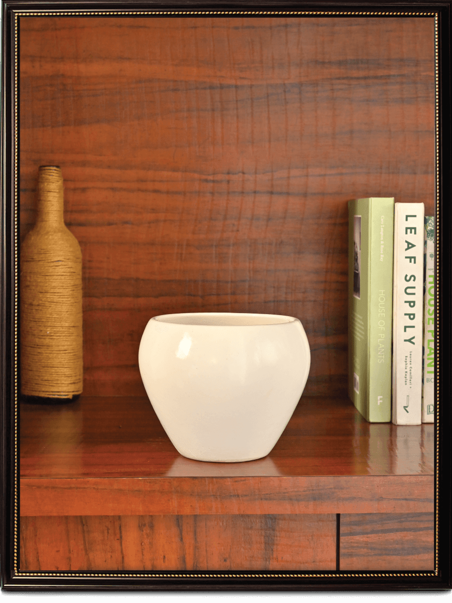 Apple Ceramic Pot | Mutiple Colors