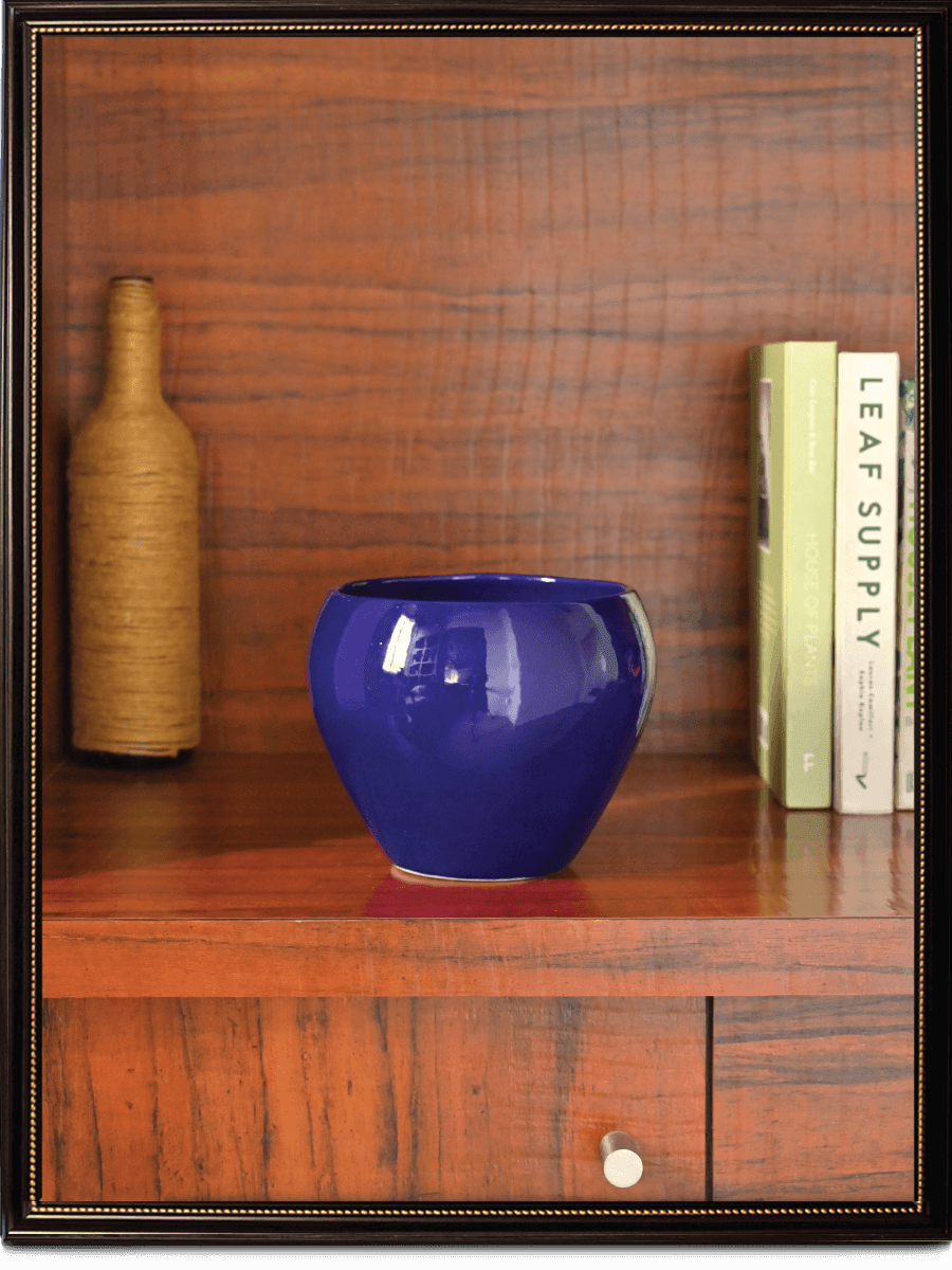 Apple Ceramic Pot | Mutiple Colors