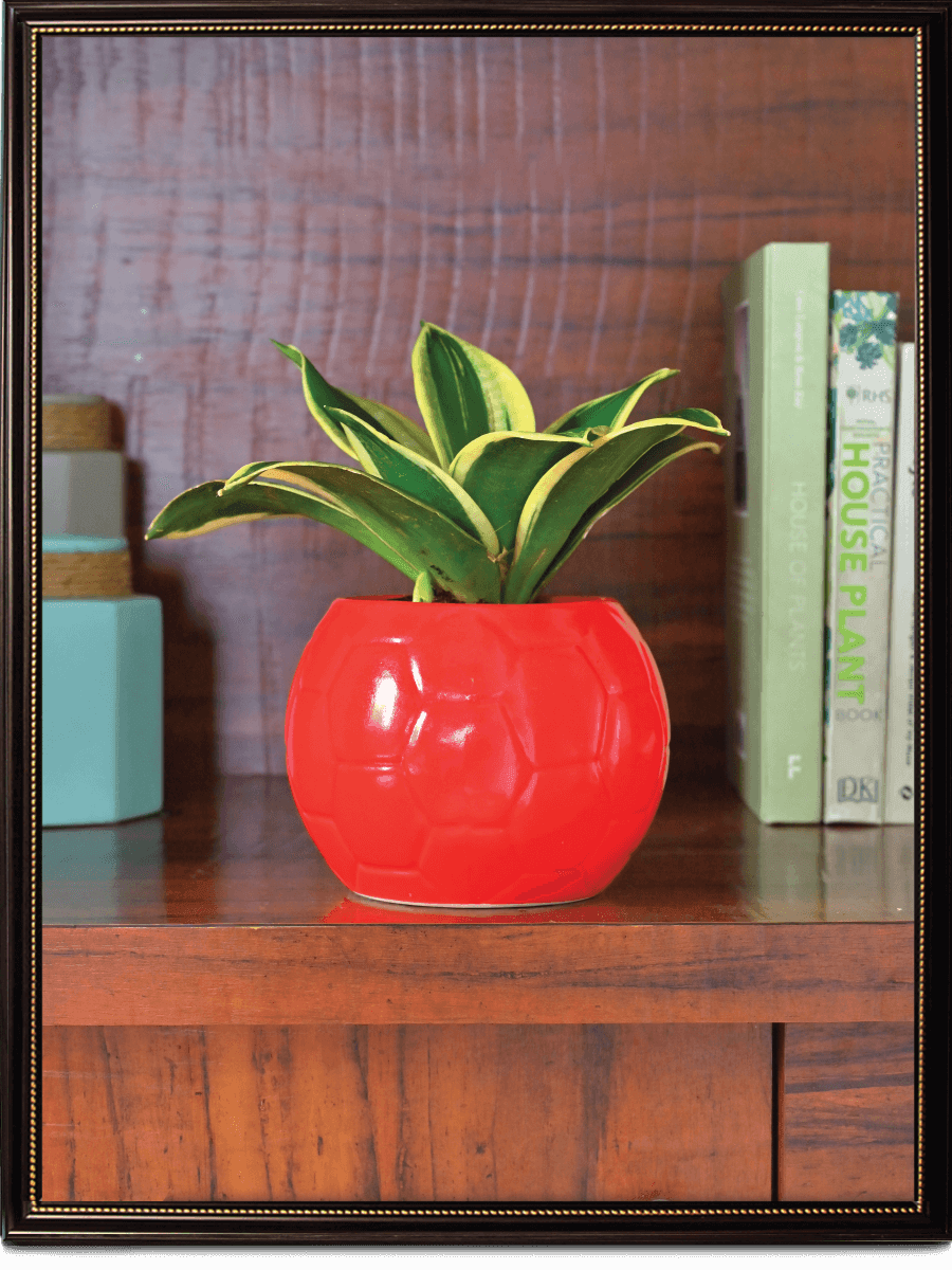 Red Football Ceramic Pot