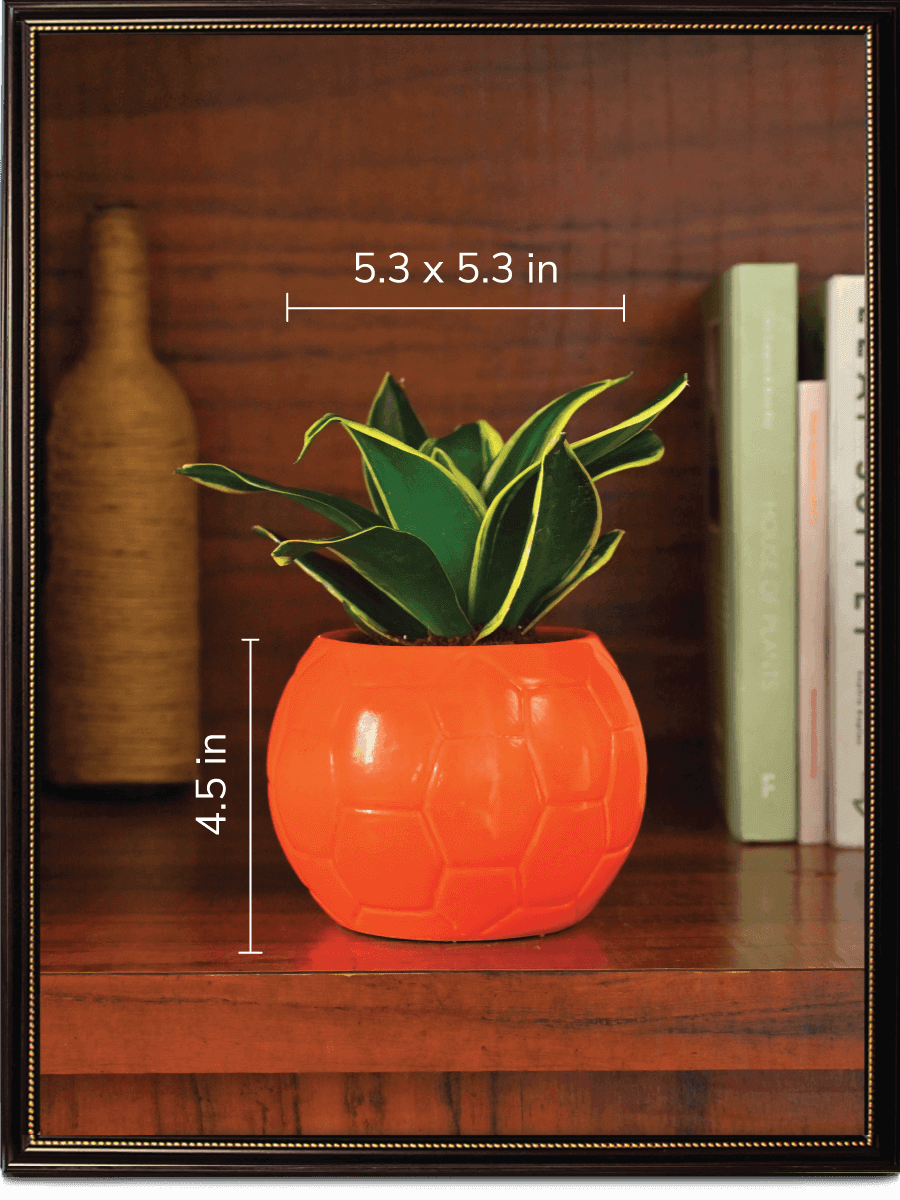 Yellow Football Ceramic Pot