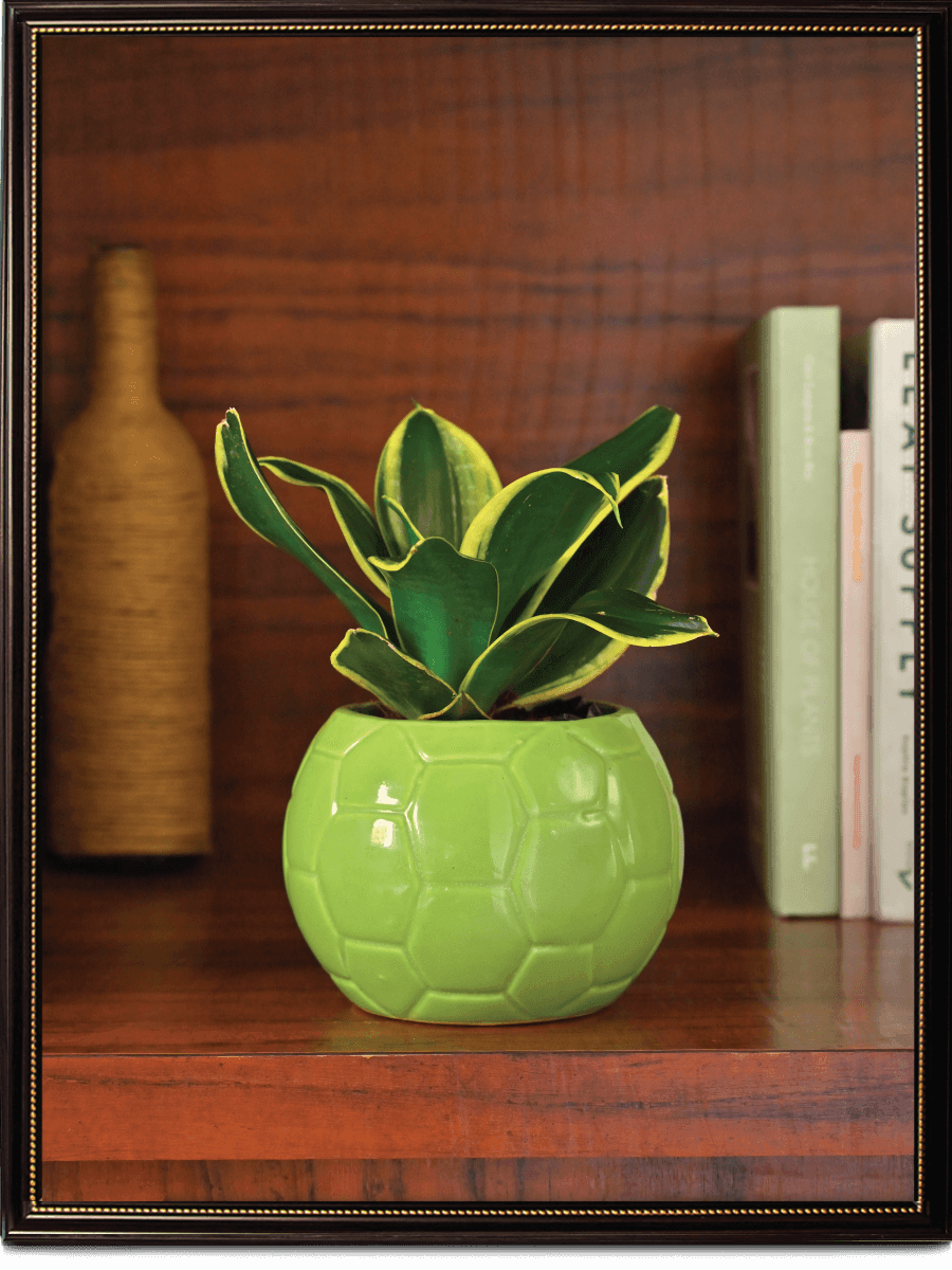 Orange Football Ceramic Pot
