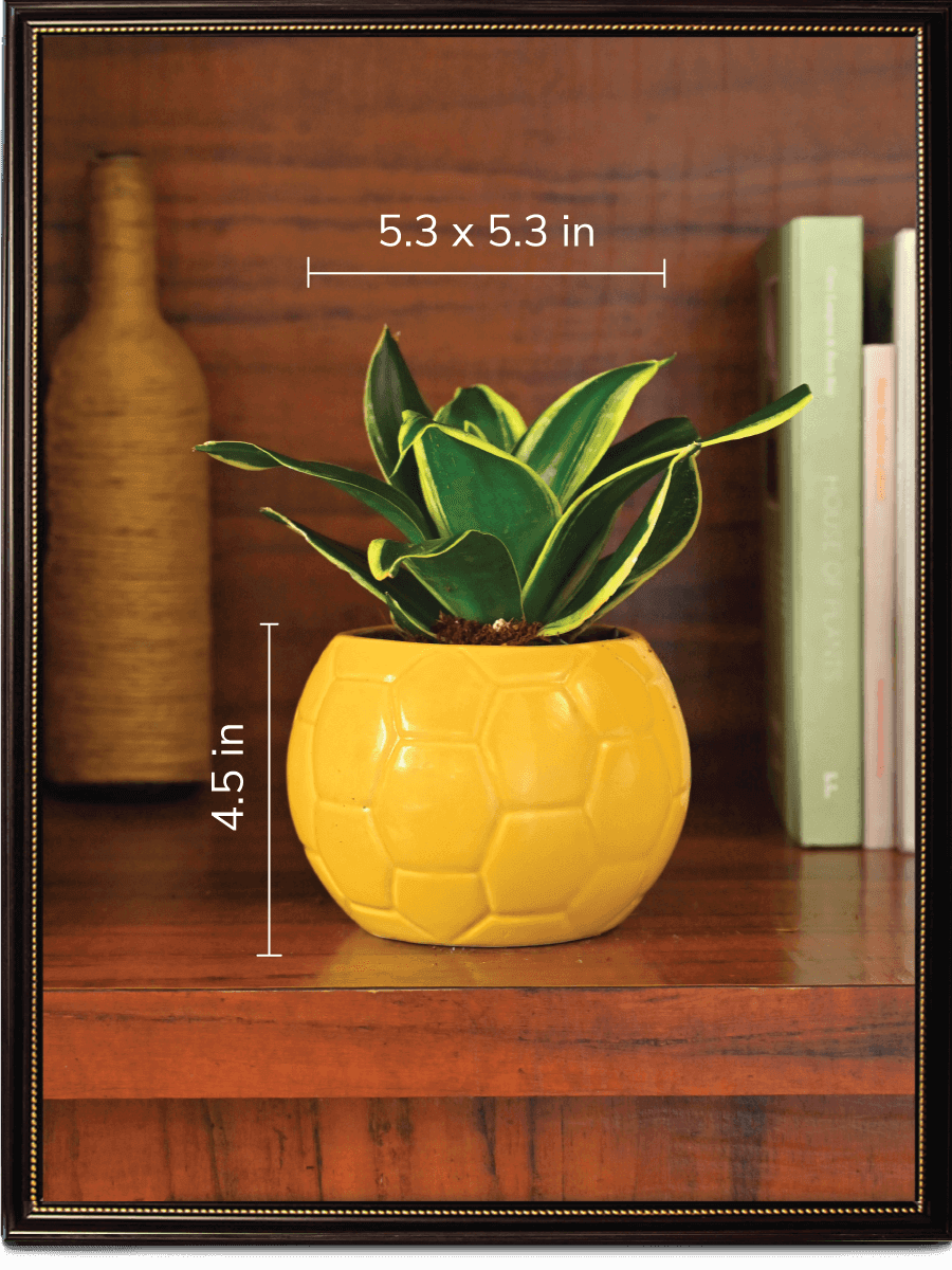 Yellow Football Ceramic Pot
